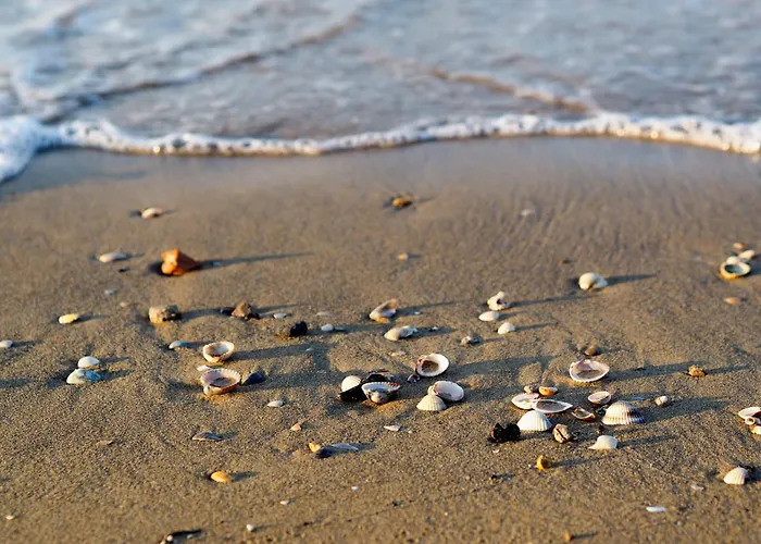 In 54745 Apartment *